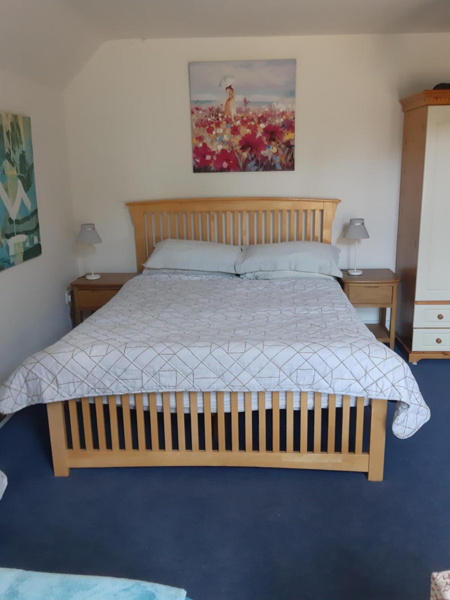 Kyleard Ryan Bed & Breakfast Monasterevin Bagian luar foto