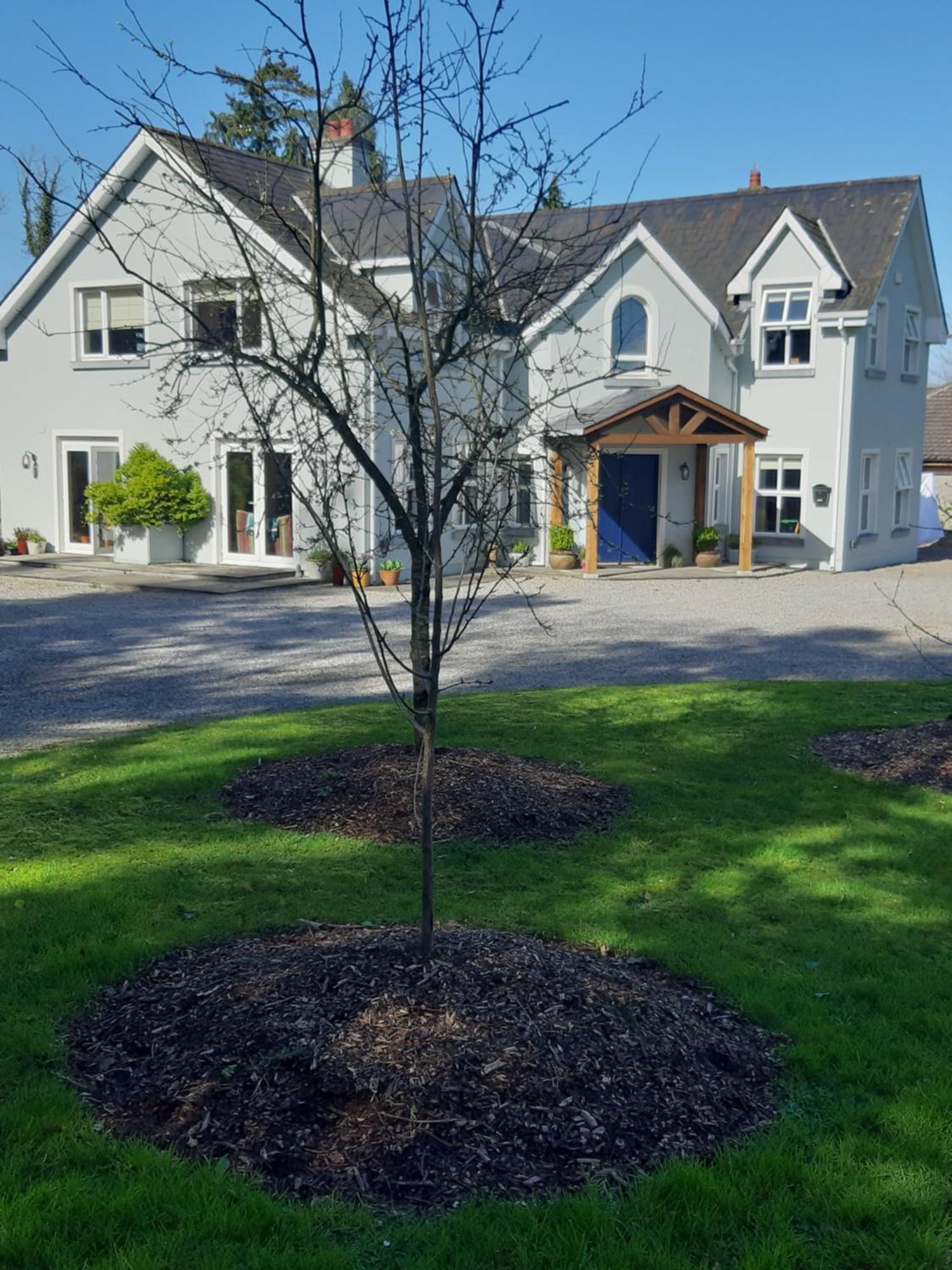 Kyleard Ryan Bed & Breakfast Monasterevin Bagian luar foto